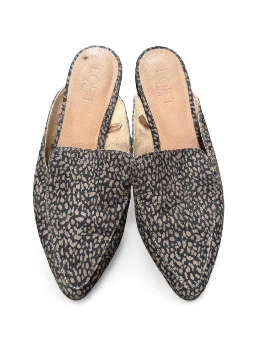LOFT Women's Pointed Mule Slides in Black and Beige Print